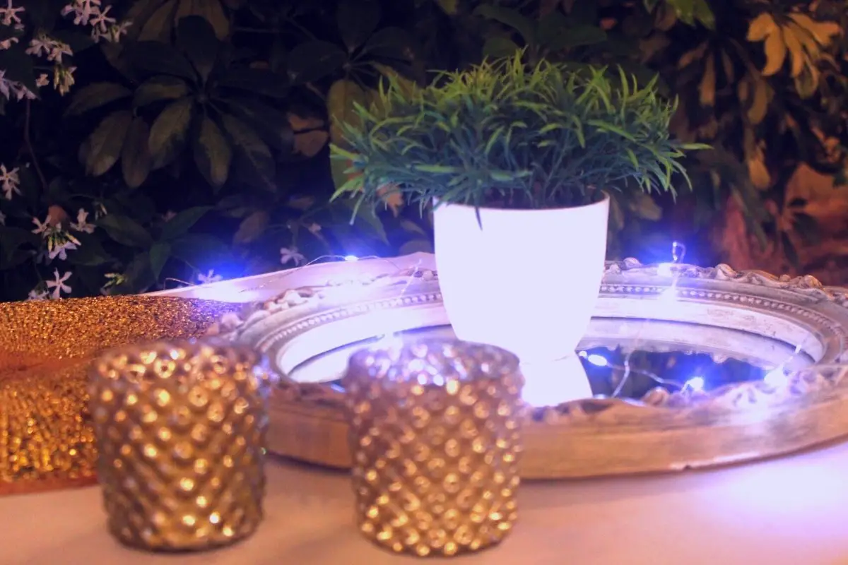 Decorative Plant Lights You Can Use Indoors