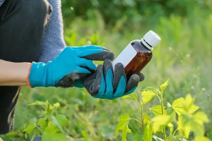 How To Choose The Best Pesticide