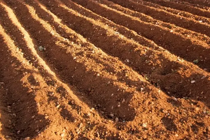 Soil Mixture - Porosity