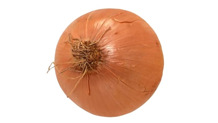 why are parts of plants like an onion not green