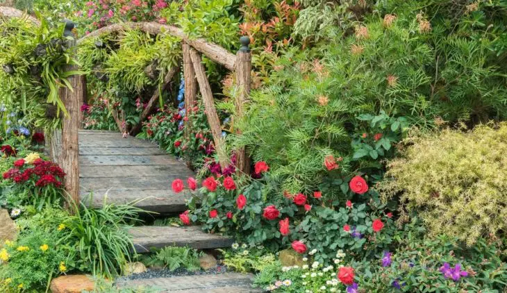 3 Backyard Flower Garden Ideas for Any Budget