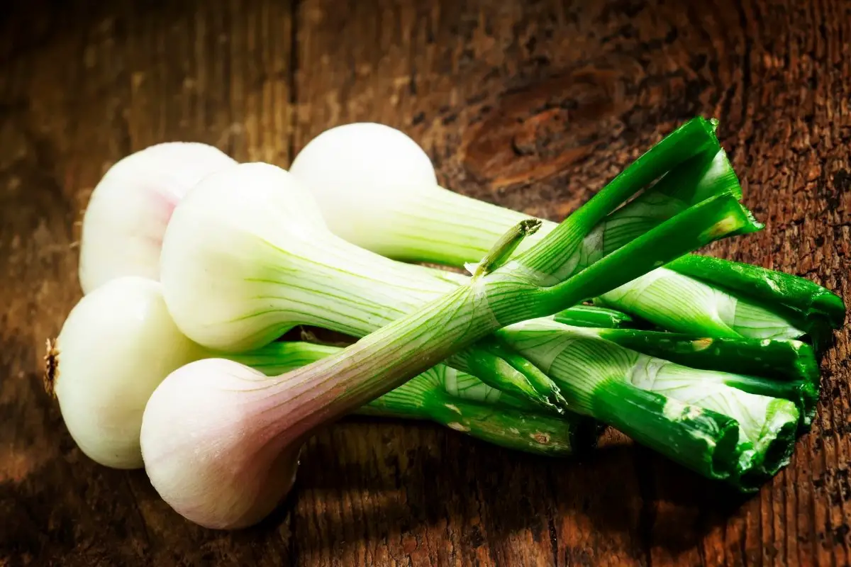 Got Onion With Stem - Here's 3 Great Ways To Use It