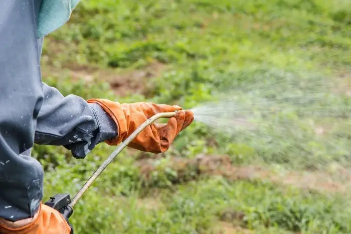 Precautions To Note While Using These Herbicides