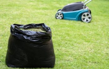 Should I Bag My Grass Clippings After Overseeding?