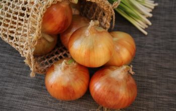 is onion a fruit or vegetable