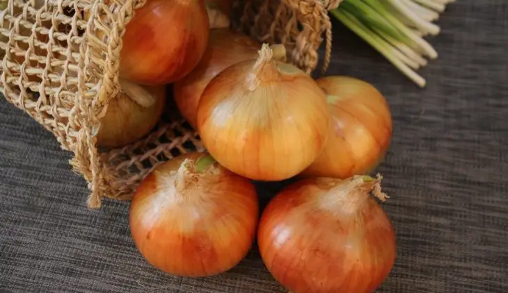 is onion a fruit or vegetable