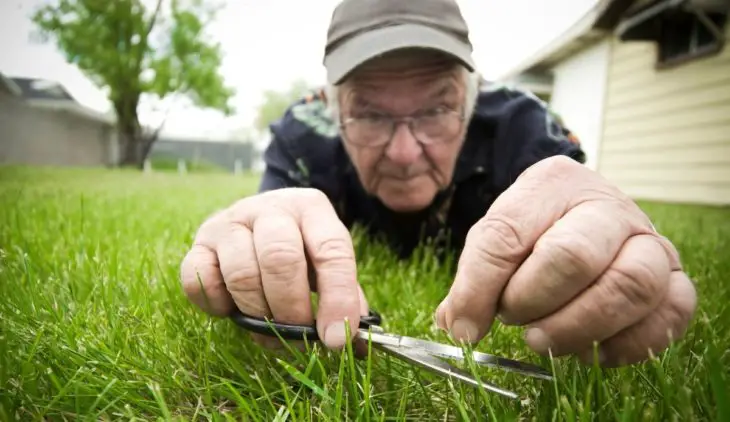 Amazing Tips On How Short To Cut Grass Before Overseeding