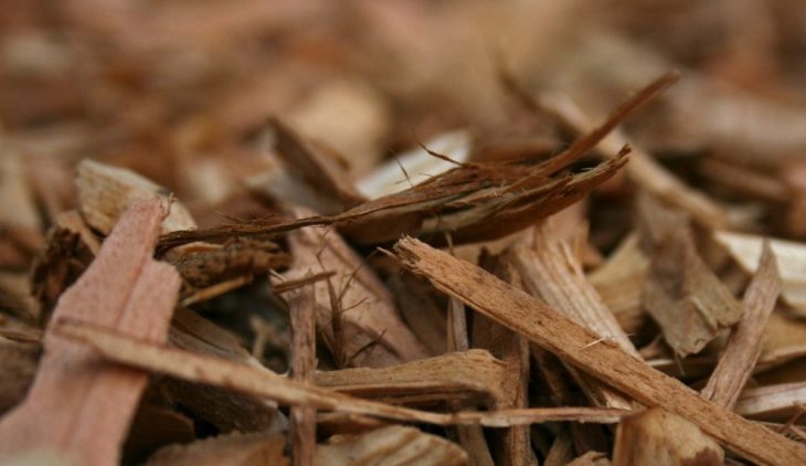 Tilling Wood Chips Into Soil – Can They Help Develop Soil