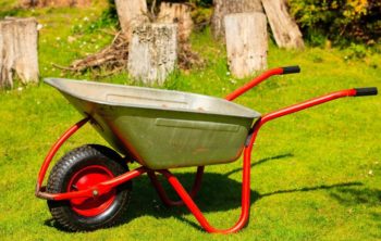 Top 6 Choices Of The Best Sand For Gardening - Ultimate Guide To Choosing The Perfect Sand