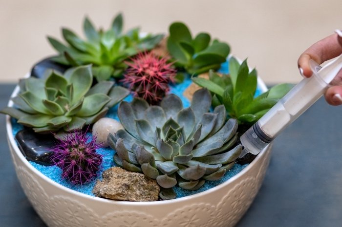 How To Grow Multiple Plants In One Pot - Watering