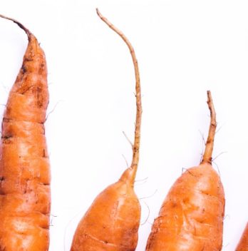 Root Carrots – A Quick Guide