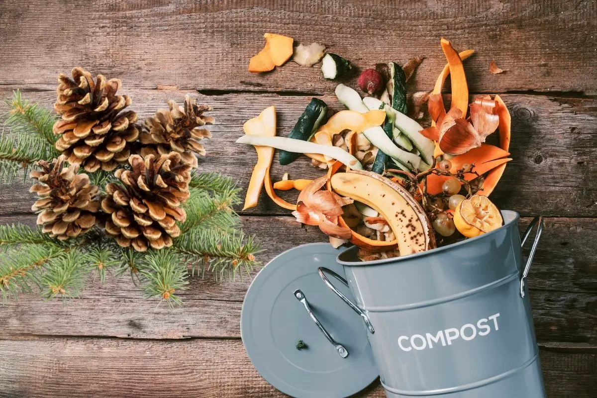 The Usefulness Of Compost Pine Cones In Our Garden
