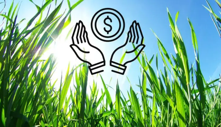 How To Save Money On Lawn Care - 4 Tips That Can Help You