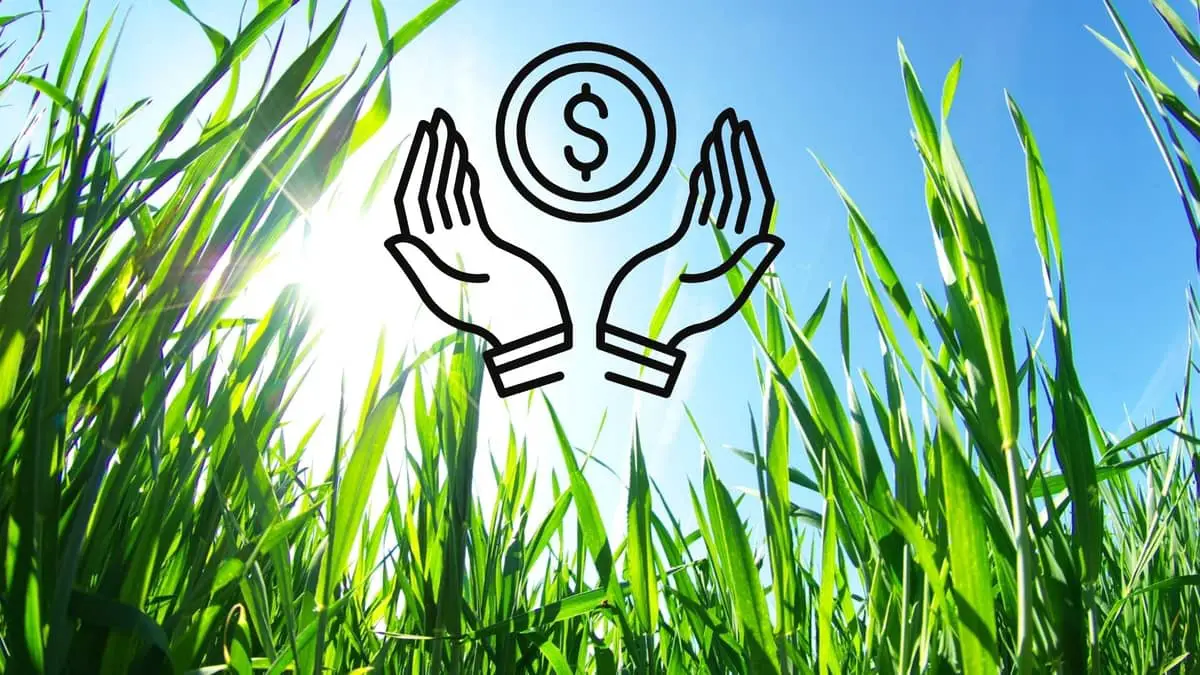 How To Save Money On Lawn Care - 4 Tips That Can Help You