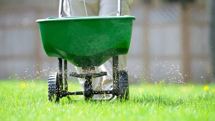 What do most lawn care companies charge