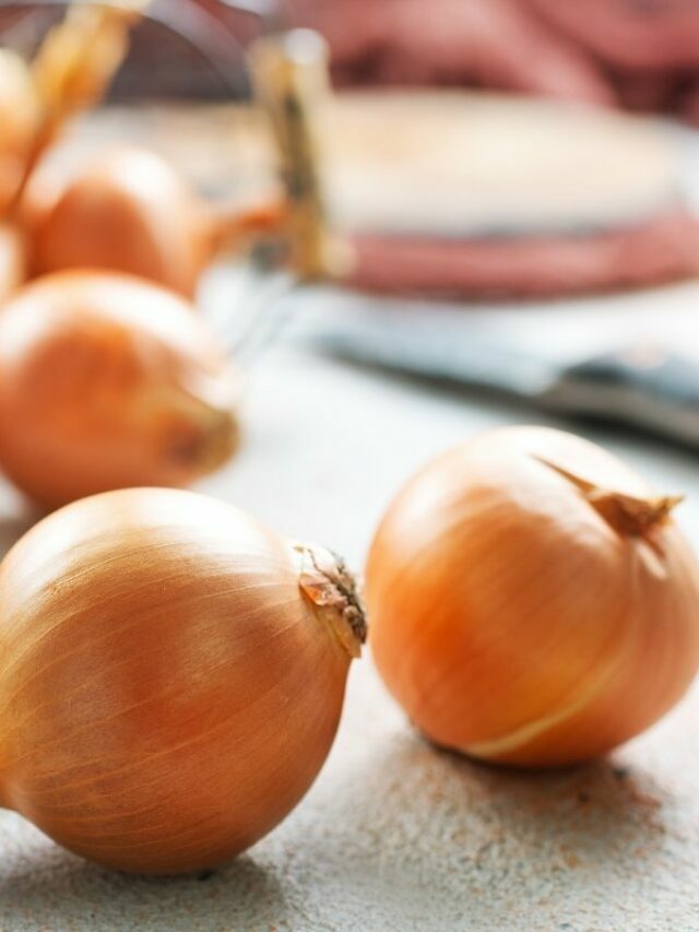 What Are Onions Classified As?