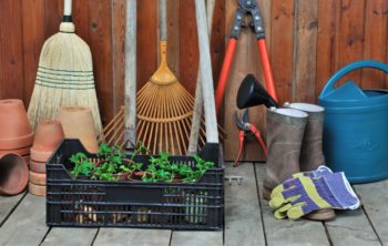 What Do You Keep In Your Garden Shed?