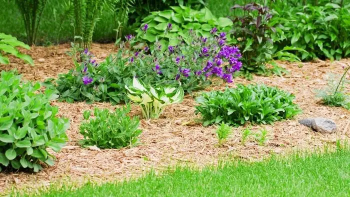 How To Use Wood Chips In Your Garden