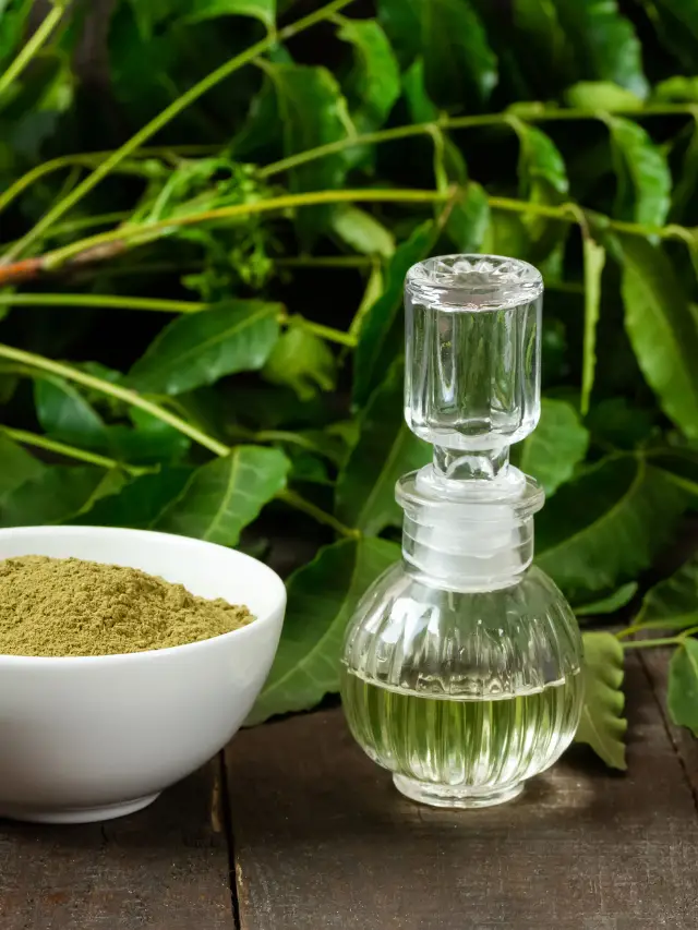 Benefits Of Using Neem Oil On Lettuce & How To Use It