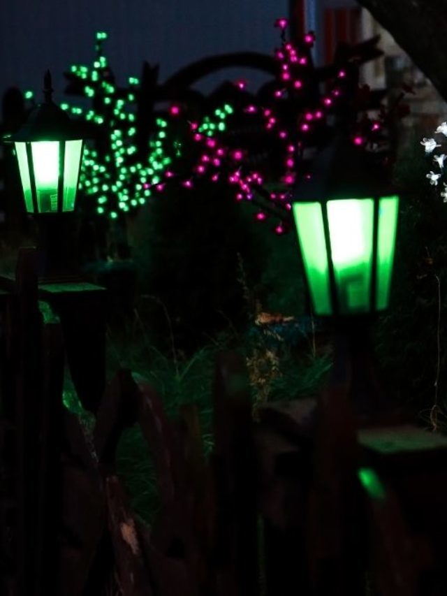 Best Decorative Lights For Your Plants