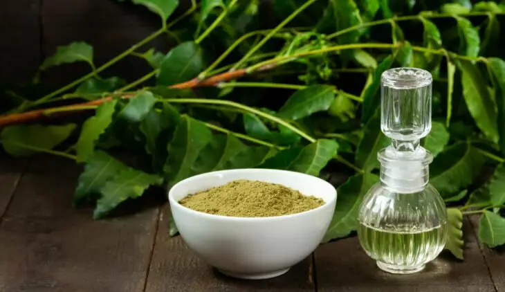 Is Neem Oil Safe To Eat
