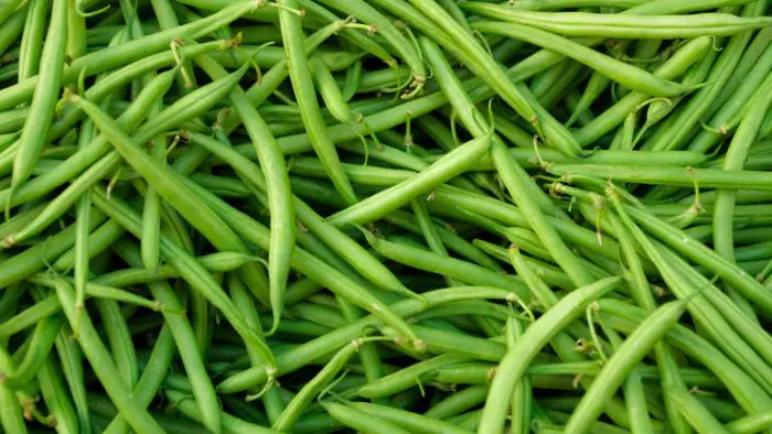  how long are fresh green beans good for