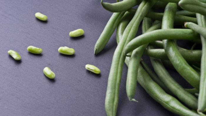 how to store green beans in the fridge