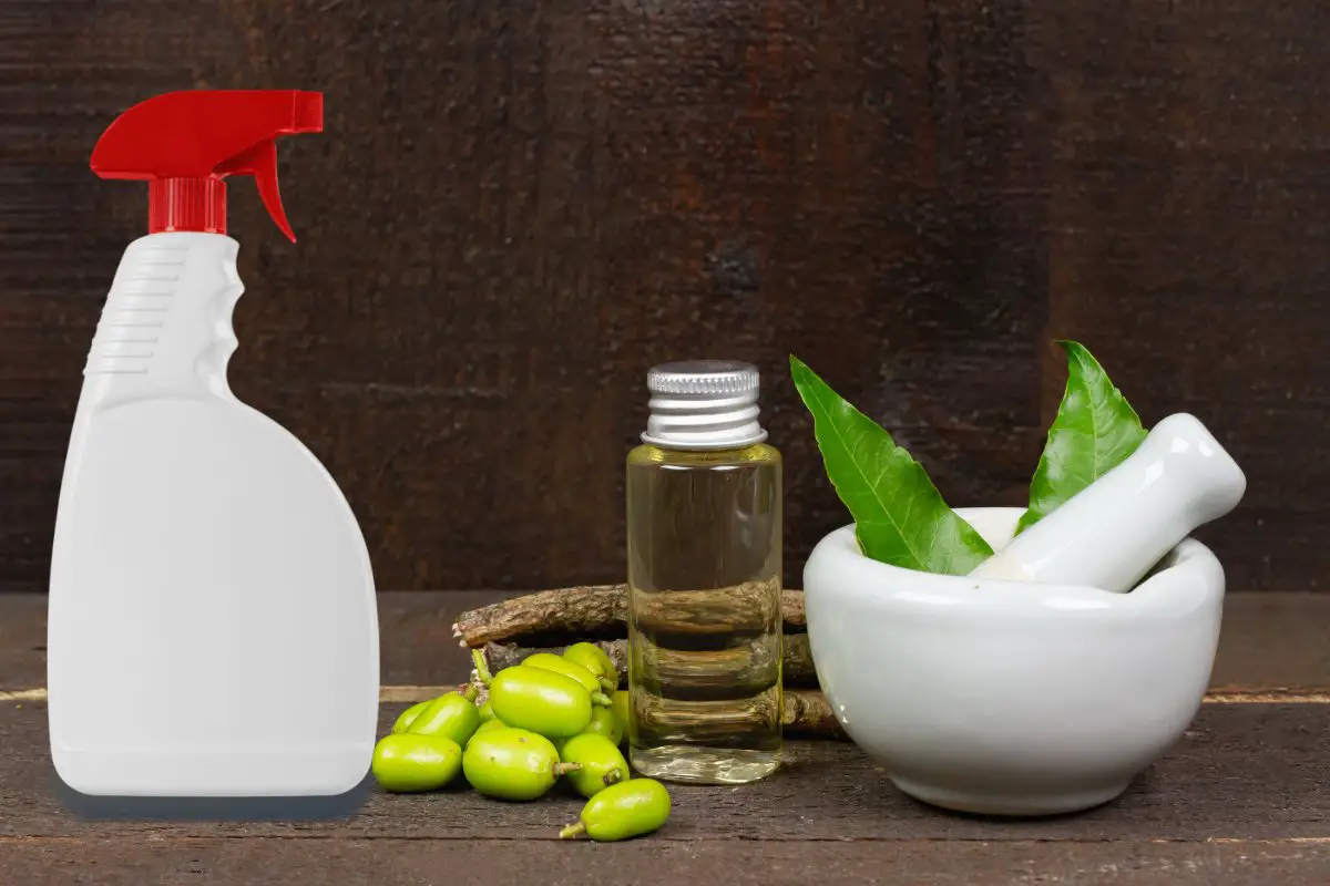 Neem Oil Vs Insecticidal Soap - Which Is Better