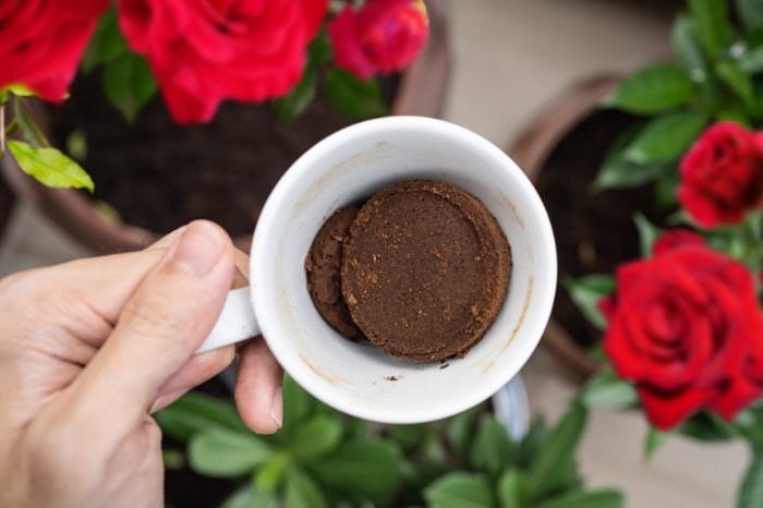 What Is The Composition Of Coffee Grounds